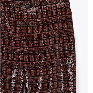 Zara sequin pants!